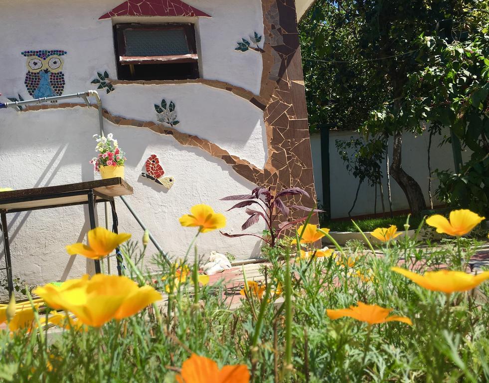 Pink Guest House Obsor Exterior foto
